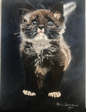  Kitten/ acrylic-on -canvas 11x14
Original $350